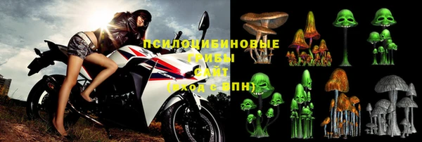 МДМА Каменка