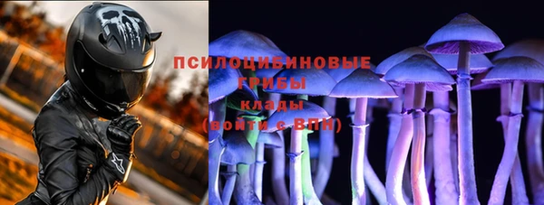 таблы Каменногорск