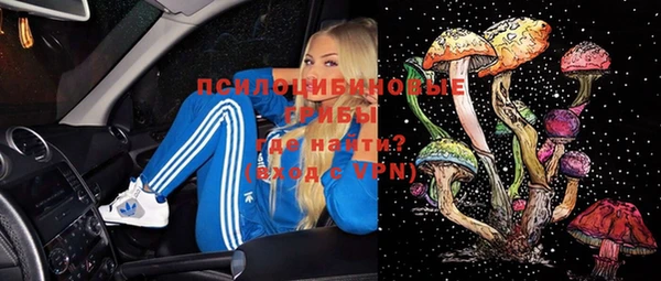 МДМА Каменка